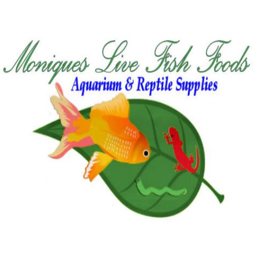 livefishfoods's profile picture. Live Foods for Fish & Reptiles, Cultivation Kits, Aquarium & Reptile Supplies