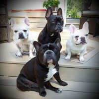 LindsayAndrews (@lyarandom) 's Twitter Profile