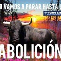 Isabel Saez (@isanimalista) 's Twitter Profile