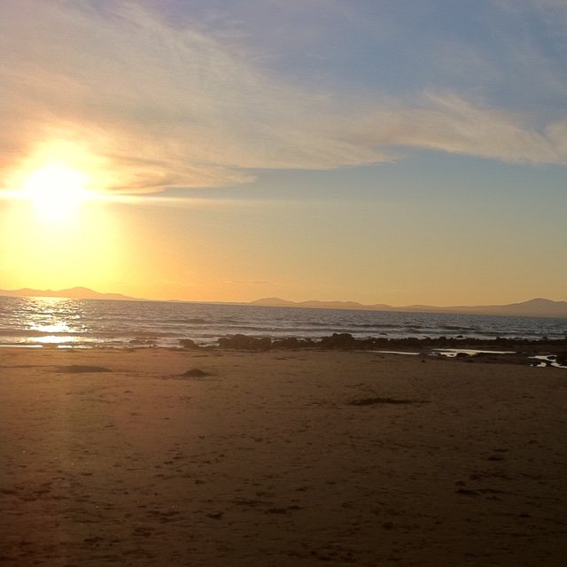 NotEnoughPurple's profile picture. Carpe Diem