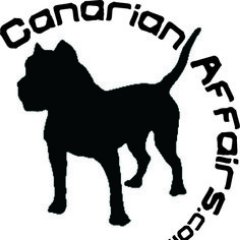 CanarianAffairs's profile picture. 