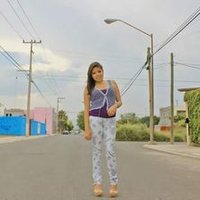 Perla Meza Guevara (@perlamezag) 's Twitter Profile