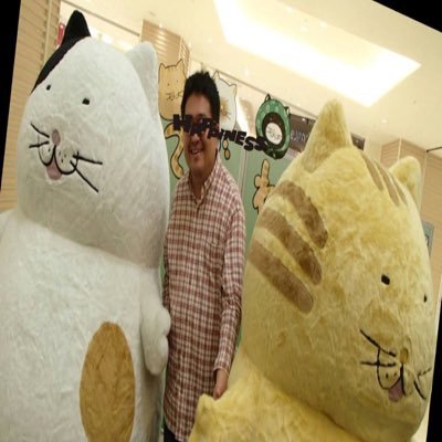 debuneko_hide's profile picture. でぶねこ好き。1日の5分の1ぐらいは、でぶねこモードです