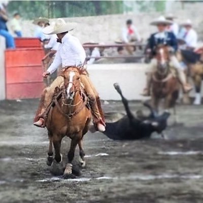 jorgecasasola's profile picture. Orgulloso de tener una familia tan maravillosa.