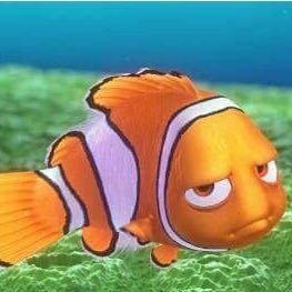 I'm going to have to stop you right there.                      (not affiliated with Finding Nemo)