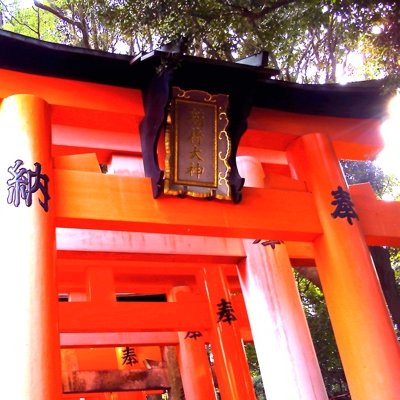 いけにえこぎなきアンソロジー告知用さんのプロフィール画像