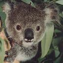 Dani Cook - @12345poler - Twitter