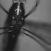 gareth lycett (@lstm_vectorgene) Twitter profile photo gareth lycett (@lstm_vectorgene) Twitter profile photo