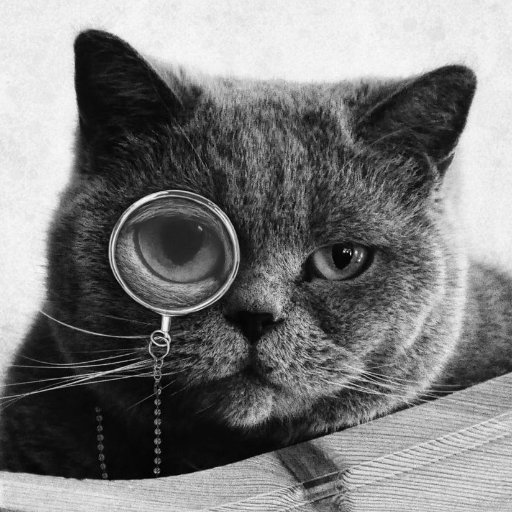 Pythonic cat with a monocle.
Data Scientist
MachineLearning Engineer
Public Speaker