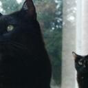 Marcus & Miley - @MarcusAndMiley - Twitter