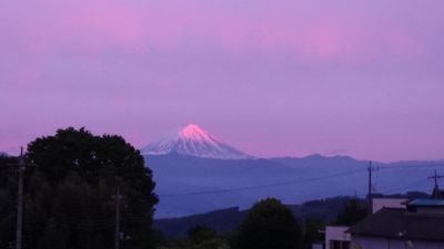 rugby030803's profile picture. 