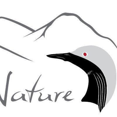 Est. 2012. Bird and Wildlife Guiding in the Scottish Highlands. Small personal groups, local guide, no minibus convoys and crowds ! Owner @rothiemoon #birding