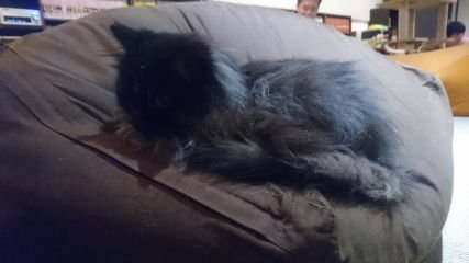 HirororoSnoopy's profile picture. アカウント変えましたー！
                        @HiroArchitectur
こっちでよろしくです！