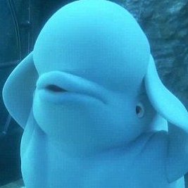 swimwithme00's profile picture. 