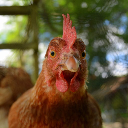 phj0791's profile picture. 