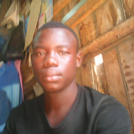 abib47436064's profile picture. 