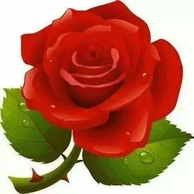 I have never set goals but
I have truly never done a
single thing that ...........
I wasn't that best...........
Support of India Natinol Congress (INC)