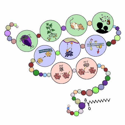 Hemsley_Lab Profile Picture