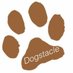 Dogstacle (@dogstacleraces) Twitter profile photo Dogstacle (@dogstacleraces) Twitter profile photo