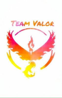 Follow me if you're on Team VALOR in Ohio. Tag my page if you find really cool Pokémon in Ohio, or if you have updates on Gyms in Ohio!!! #PokemonGo #TeamValor