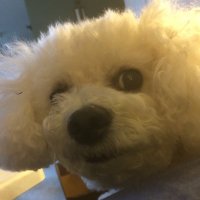 Jburd16 (@jbirdj77) 's Twitter Profile