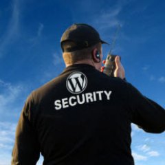 We specialize in Website Account Security and, in particular, Wordpress Security.

Download a FREE report by visiting us here at https://t.co/TSJuCCNFsl