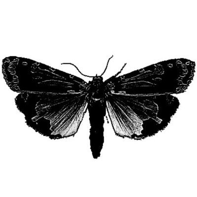 Bad_Beat_Moth's profile picture. These days, I'm too busy running the best football tipster service on the internet to tweet about poker. Follow @Mothpunts, check the website, sign up and win!