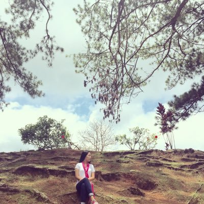 norz23's profile picture. 