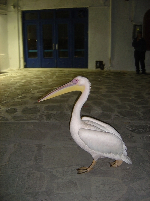 takashi7324's profile picture. 