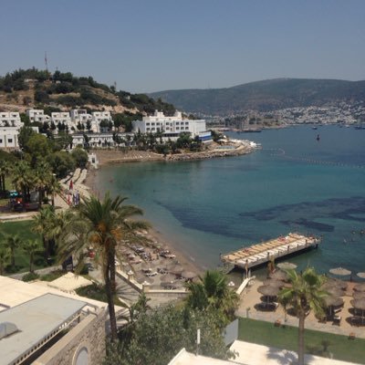 BaharUz00483667's profile picture. 