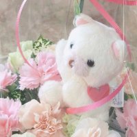 しゃむ わん (@syamn_cat) 's Twitter Profile Photo