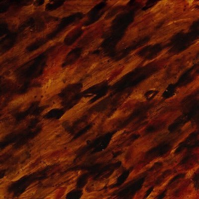 tortoiserecords's profile picture. Album Of The Day, DM to have your say!