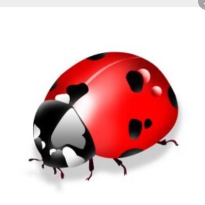 soniaves's profile picture. 