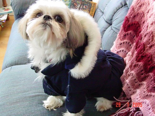 jenl1625's profile picture. she/her