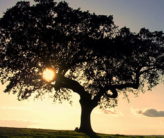 QualityOfLife's profile picture. Helping you focus on quality of life. Live better. ---- Moderated by Snow