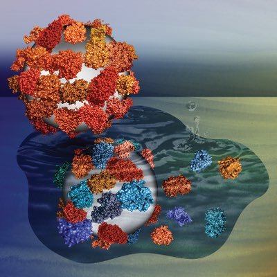 NanoBiochemSCU Profile