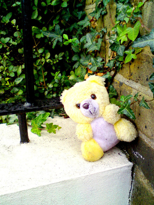 dancecomp's profile picture. Annual photography competition for UK schoolchildren