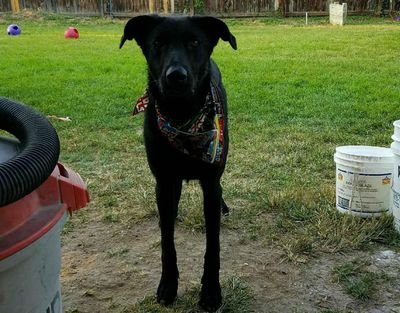 krod0313's profile picture. 