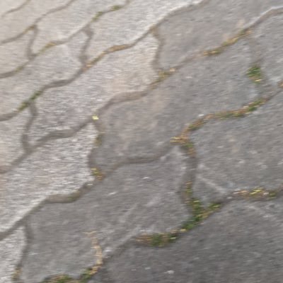 馬のちんこbot Jtjmvtvt Twitter 馬のちんこbot Jtjmvtvt Twitter