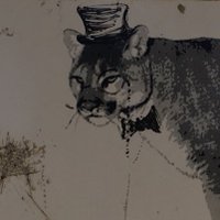 (((bruceKamolnick))) (@brucekamolnick) 's Twitter Profile