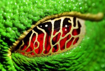 henkeli0715's profile picture. うどんの国に生息