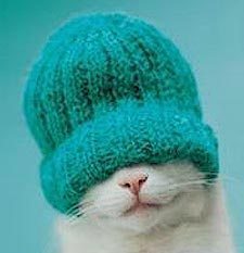 arhipco's profile picture. sound producer