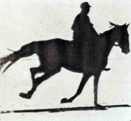 BingUp's profile picture. 'Bing Up'!