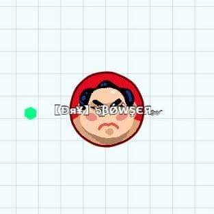 DryBowser6's profile picture. 