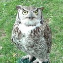 Joel Sheets - @crushed280z - Twitter