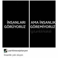 Ayşegül Okur (@moonserose25) Twitter profile photo