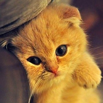 tvoyaanna10's profile picture. 