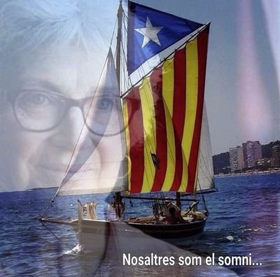 FxdomingoXavi's profile picture. 