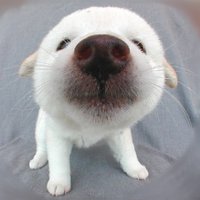 🦋mana🦋 (@lovemana0505) 's Twitter Profile Photo