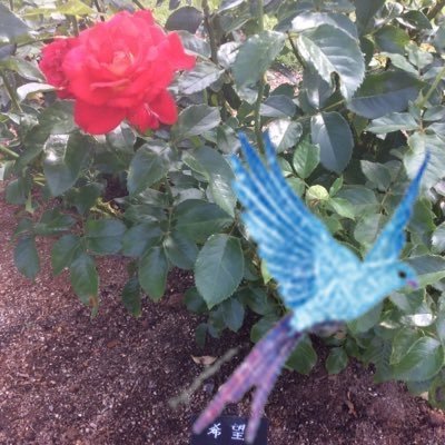 (s?)🌹さんのプロフィール画像